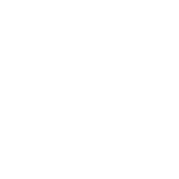 BETFLIX22 EVOLUTION LOGO