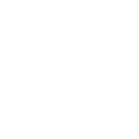 BETFLIX PUSH GAMING LOGO